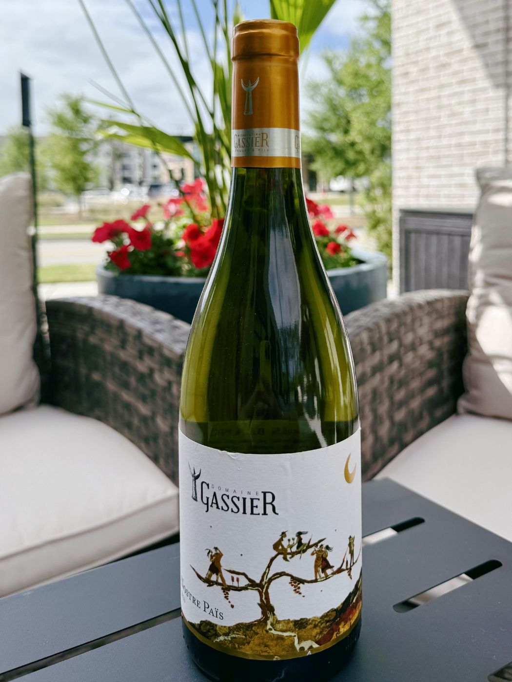 2020 Domaine Gassier Nostre Pais