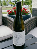 2023 Sentium Sauvignon Blanc