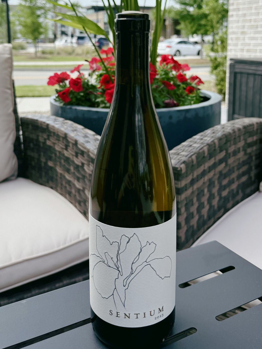 2023 Sentium Sauvignon Blanc